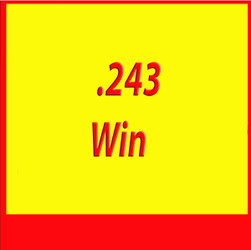 .243 WIN Ammo